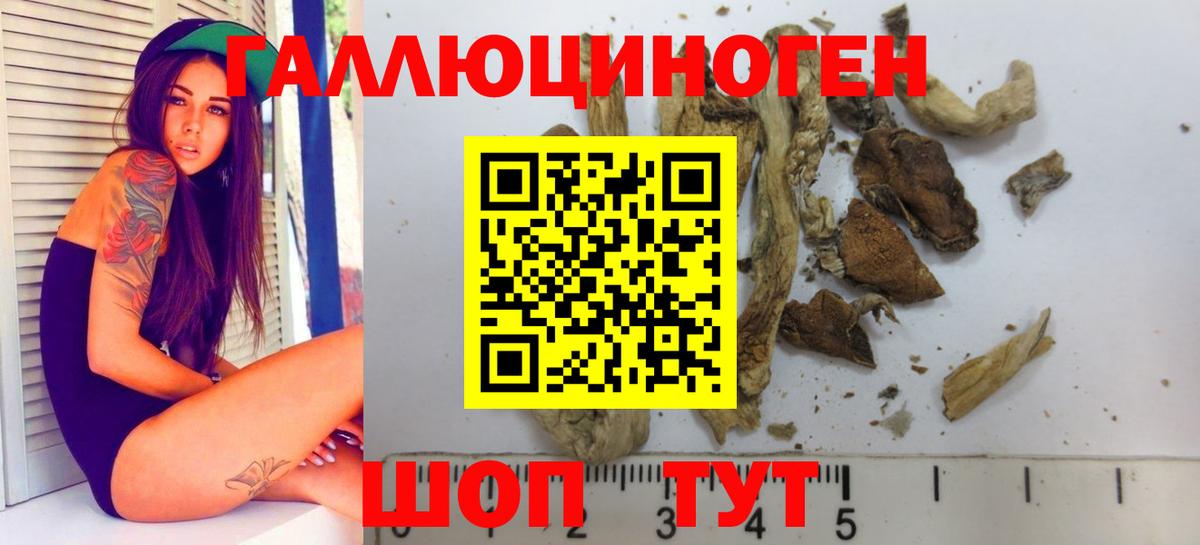 цены наркотик  Галлюциногенные грибы Psilocybe  Вход с VPN  Галлюциногенные грибы Psilocybe  Екатеринбург 